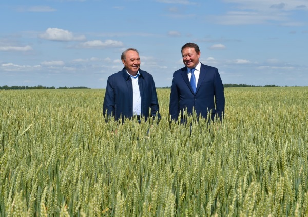 The President visited the Agricultural Complex of Agrofirm Eximnan LLP