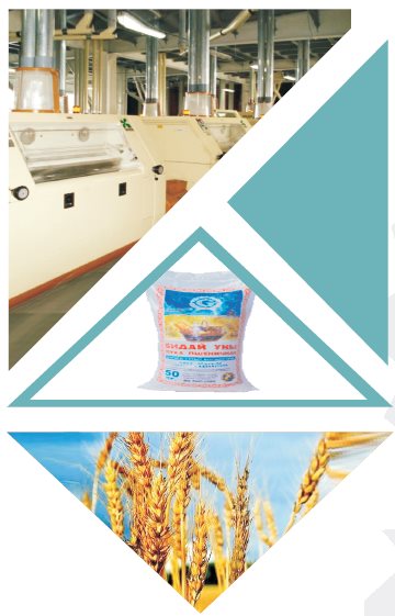 «Mamlyut flour plant» LLP